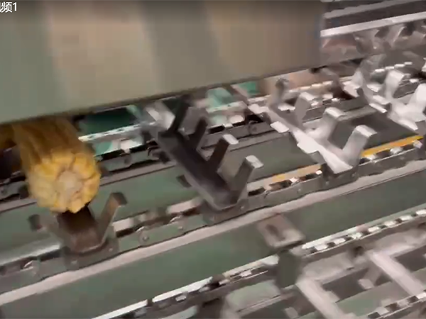 玉米切頭去尾機視頻